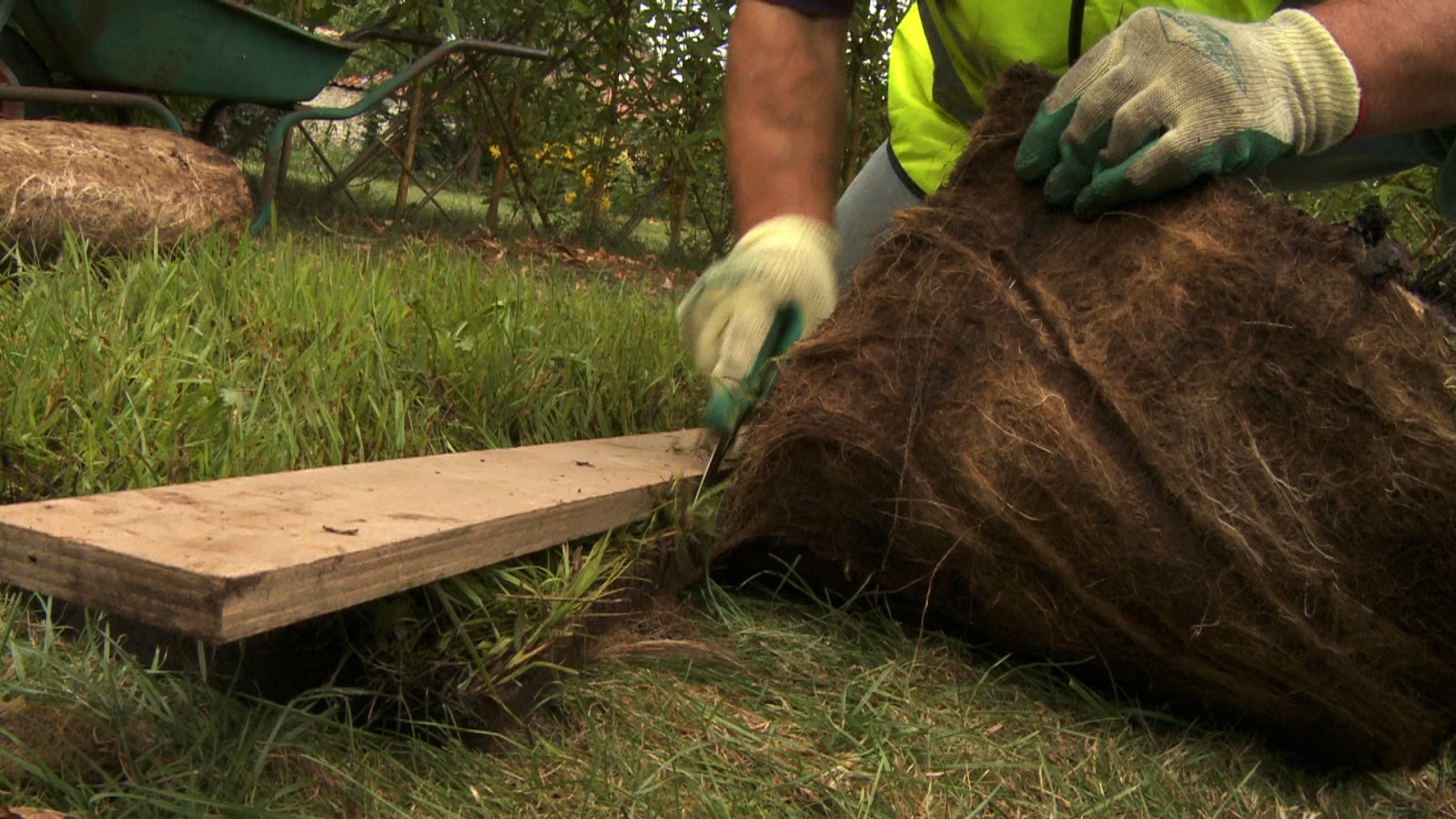 Meadowmat bringing back our wild flowers When to plant a wildflower